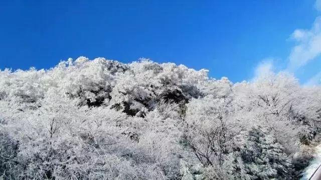 88影视