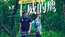 拿破仑文选这本书，说的是拿破仑兵法吗？教人带兵打仗吗？等于孙子兵法？