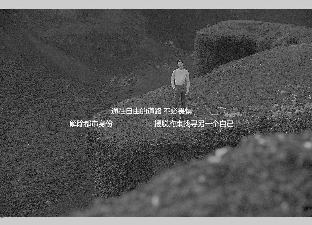 虫虫助手下载