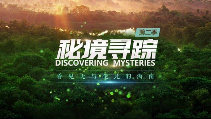 燃烧吧大脑装瓶子游戏