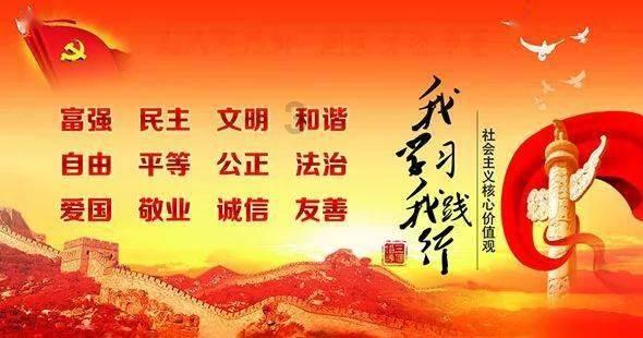 88影视