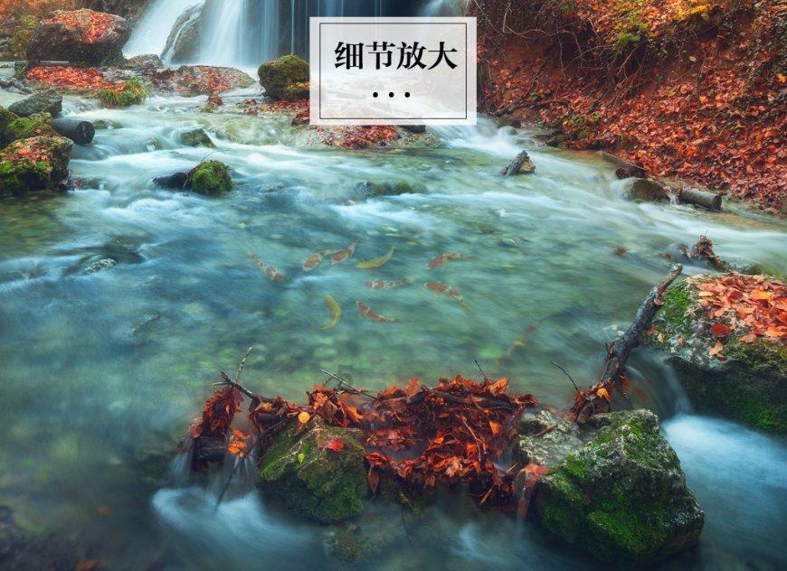 全民烧脑3去广告版