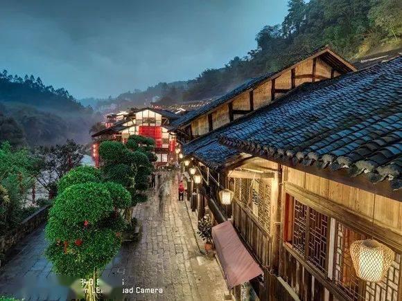 动物帮帮忙保卫家园