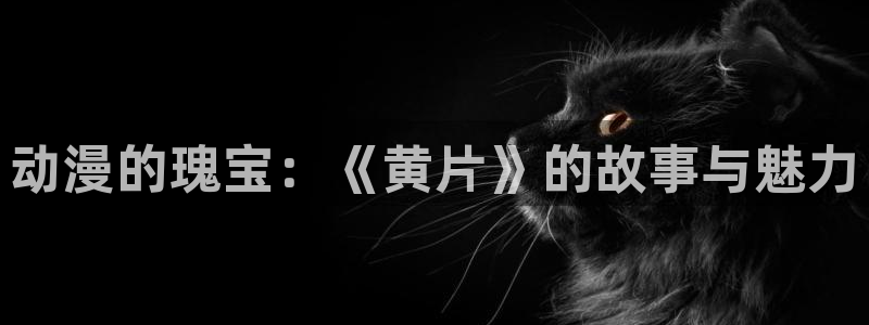 汗汗漫画大全高清阅读：动漫的瑰宝：《黄片》的故事与魅力配图
