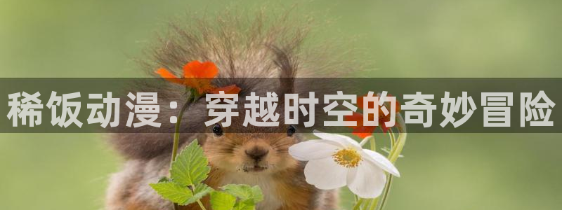 汗汗漫画中文版在线阅读：稀饭动漫：穿越时空的奇妙冒险配图